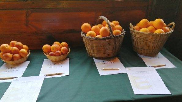 Soluciones biotecnologicas